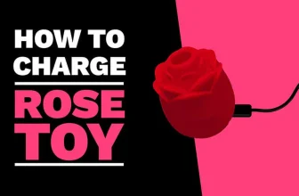 The Ultimate Guide to the Rose Toy Charger: How to Charge Without One and More